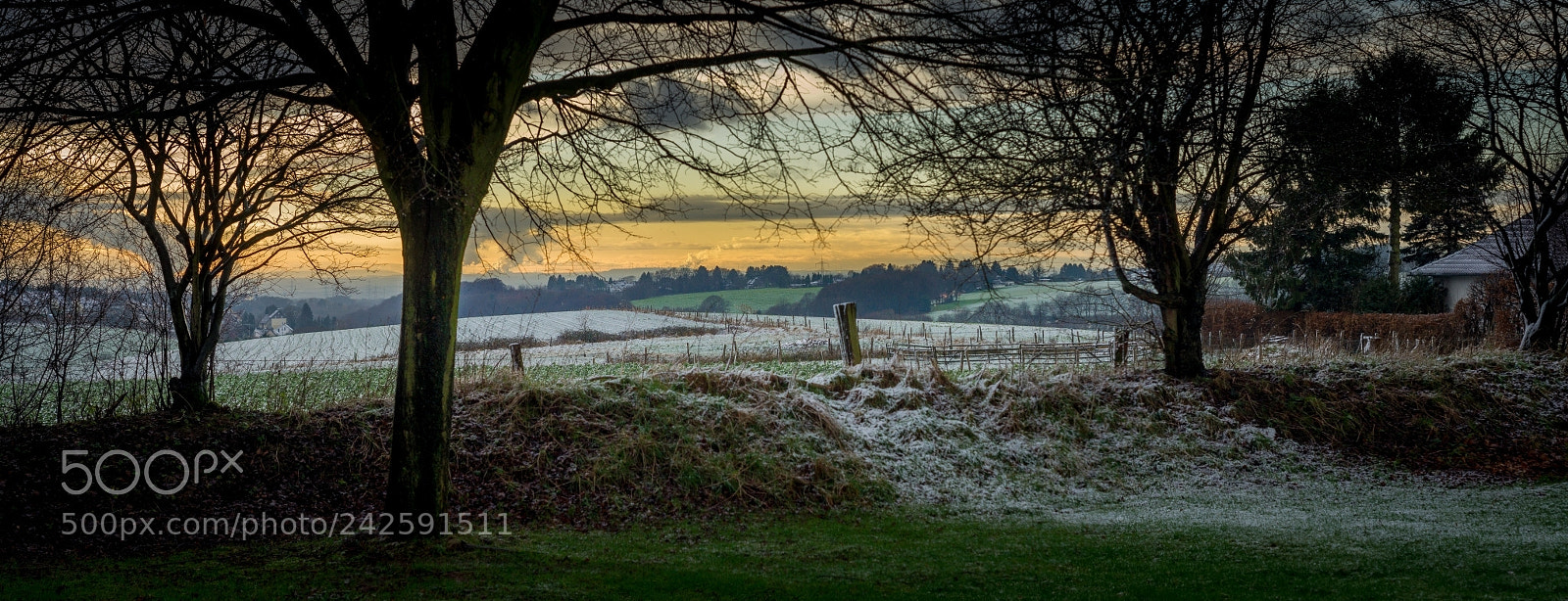 Sony Alpha DSLR-A500 sample photo. Thaw view photography