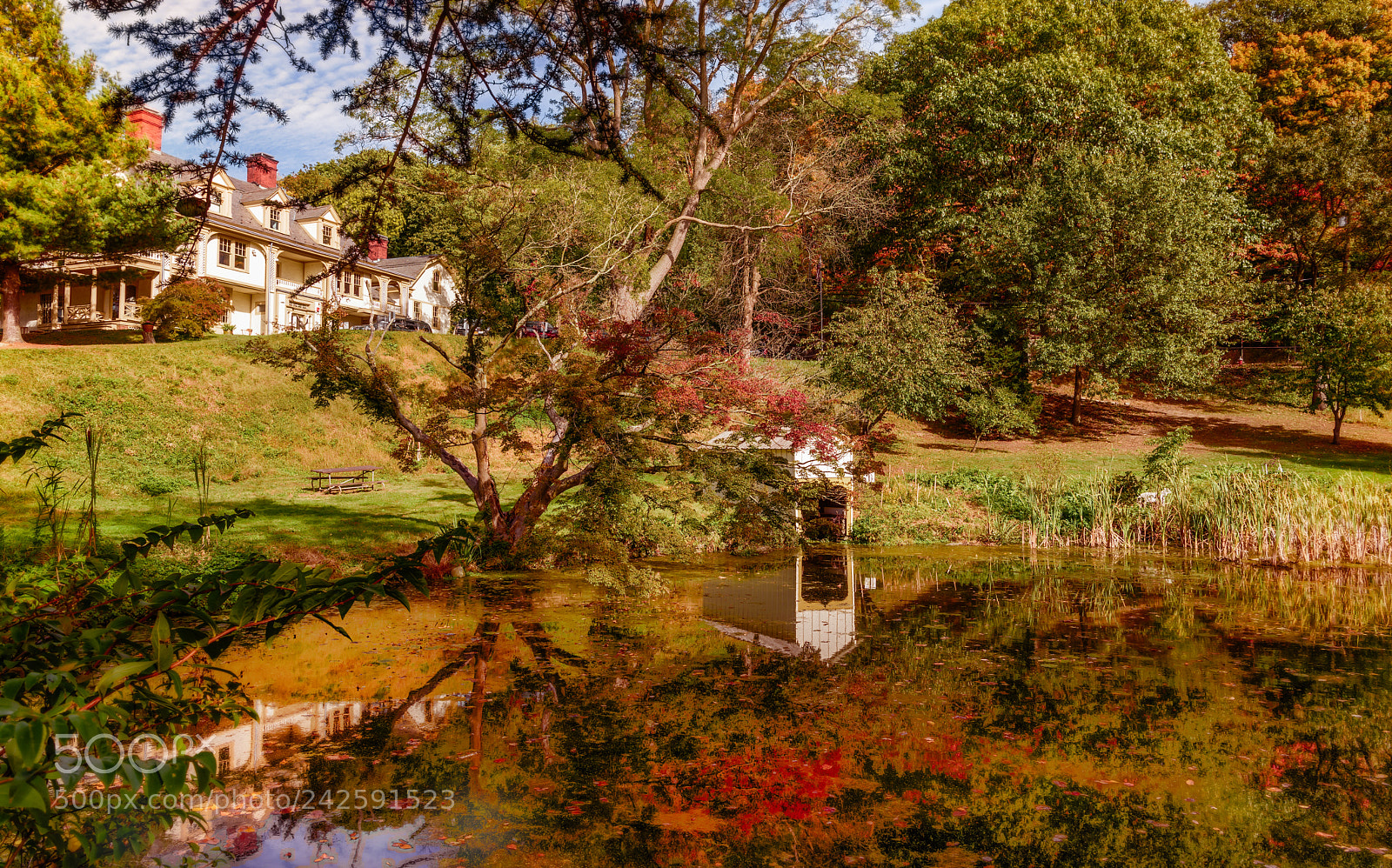 Nikon D810 sample photo. Fall's signature photography