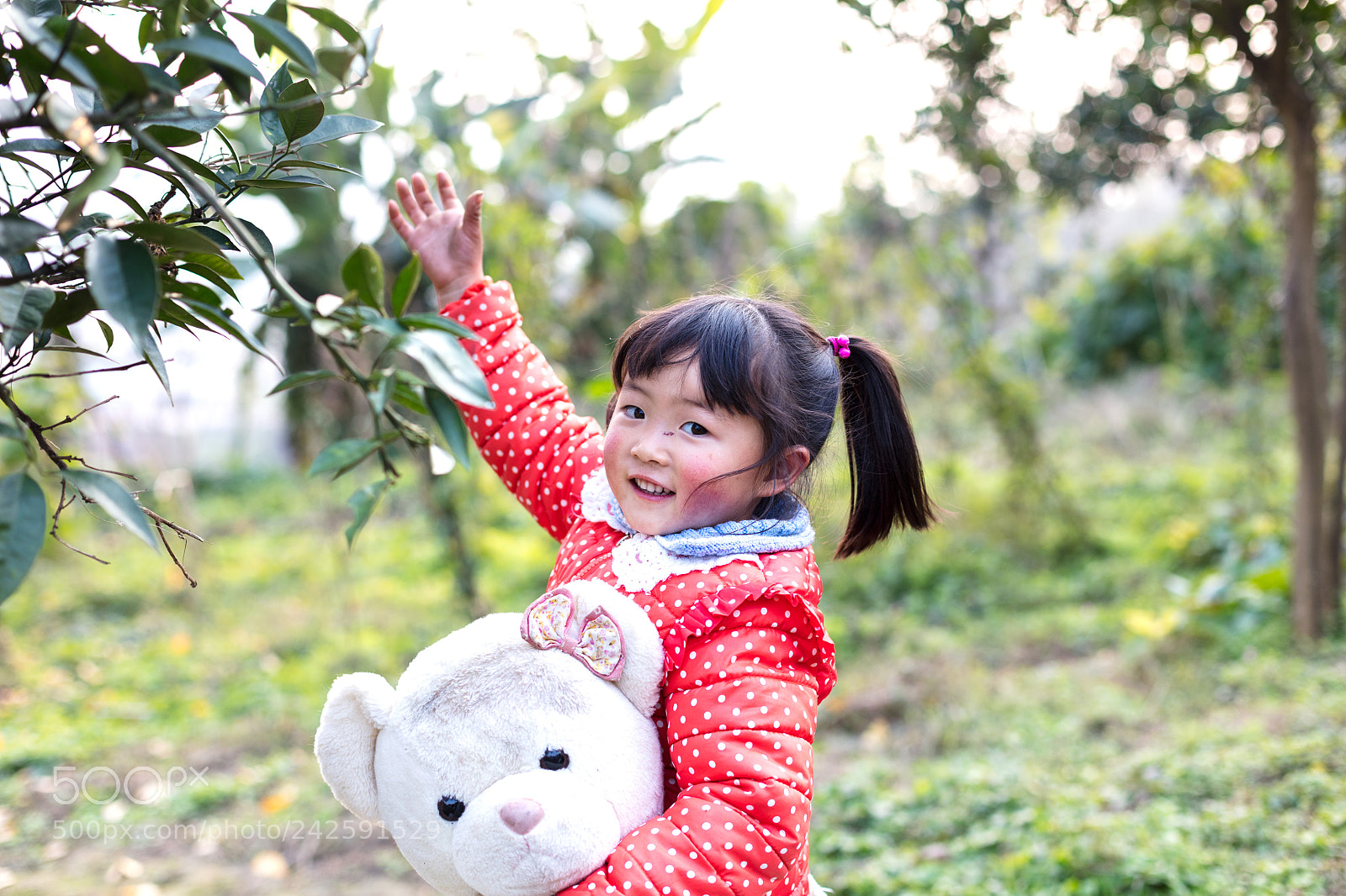 Canon EOS 5DS sample photo. Ha photography