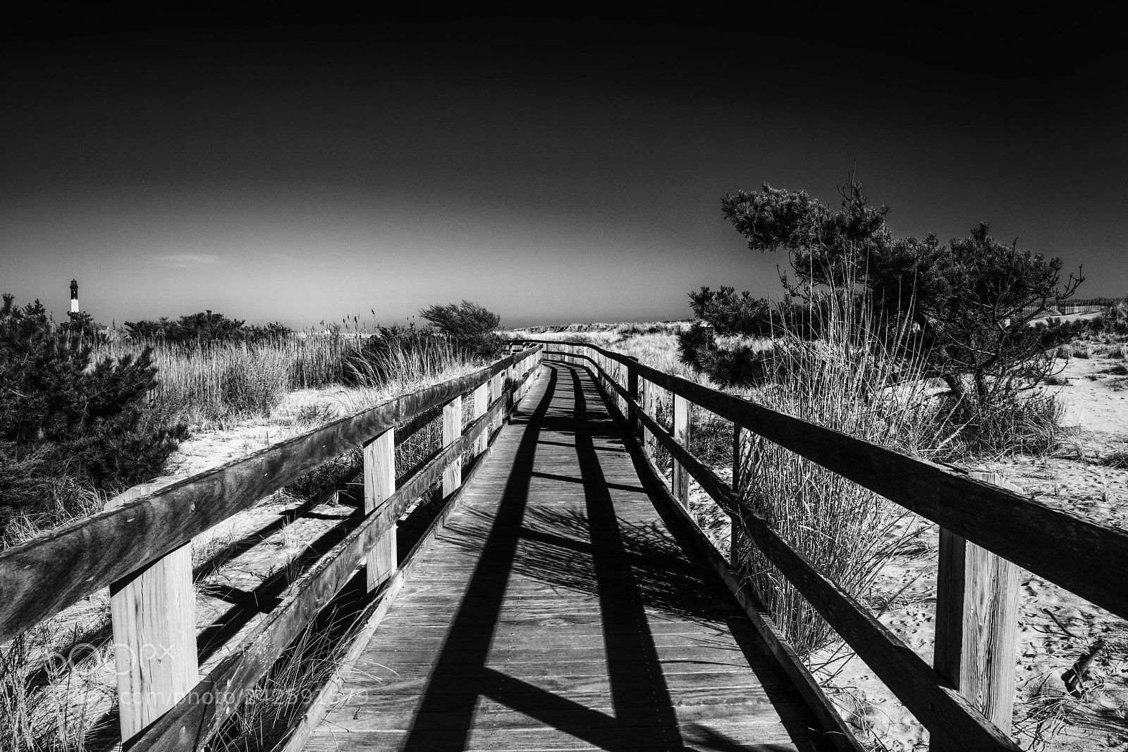 Nikon D810 sample photo. Shadows photography