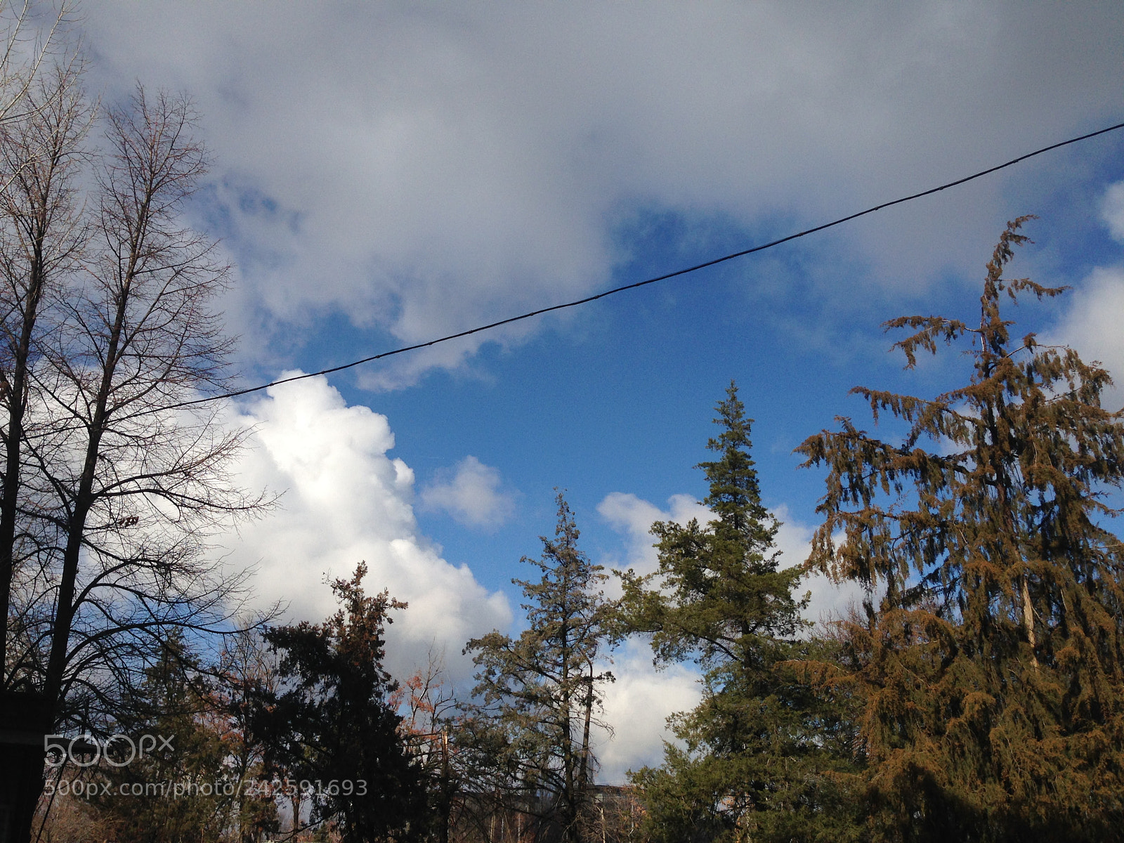 Apple iPhone 5 sample photo. #likelookingatsky photography