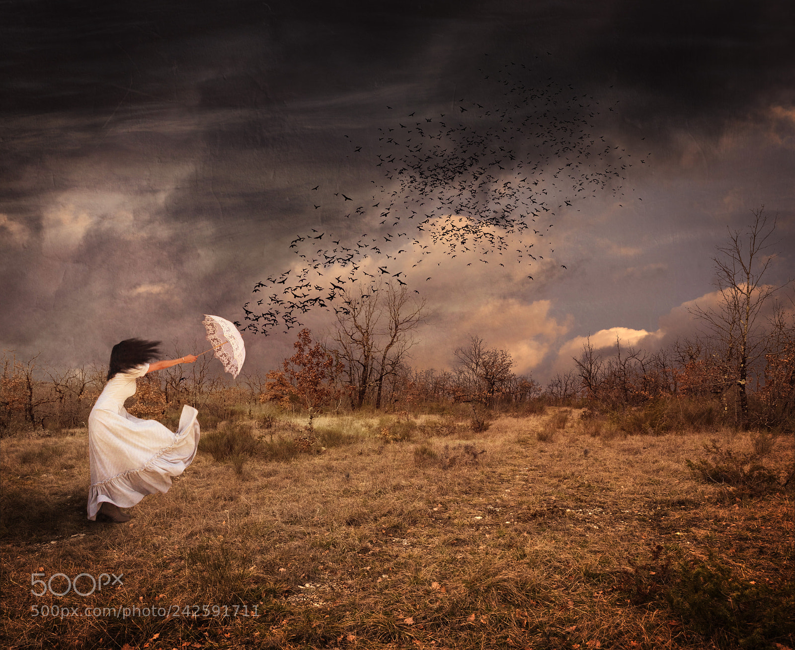 Nikon D810 sample photo. Fly away home photography