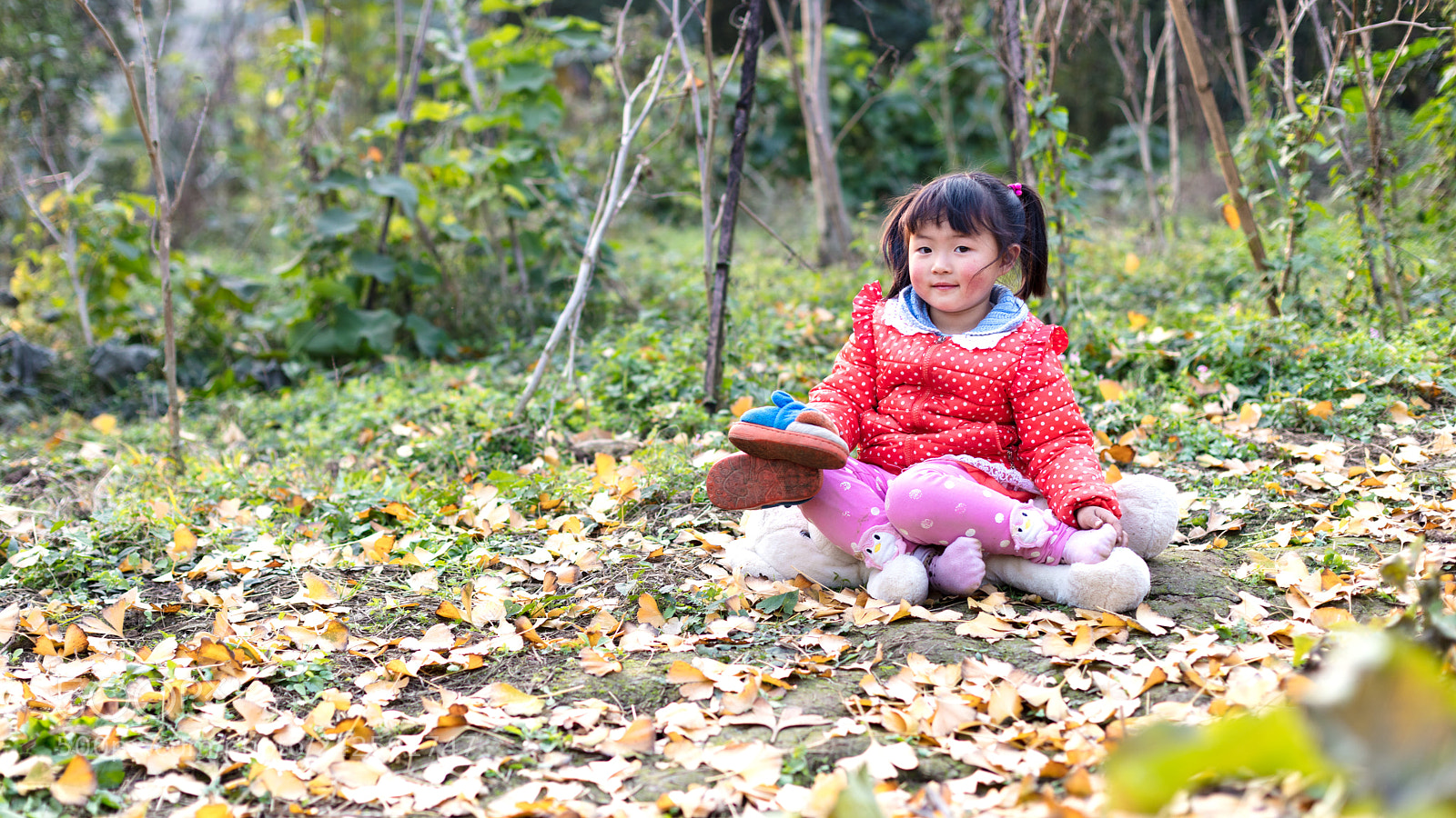 Canon EOS 5DS sample photo. Ha photography