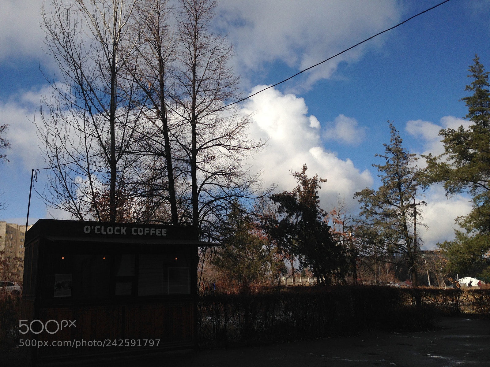 Apple iPhone 5 sample photo. Would you like to photography