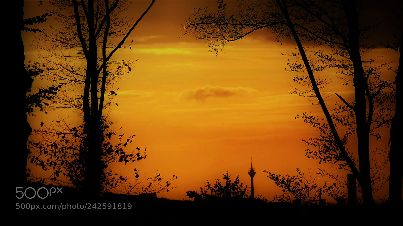 Panasonic Lumix DMC-FZ1000 sample photo. Golden sunset photography