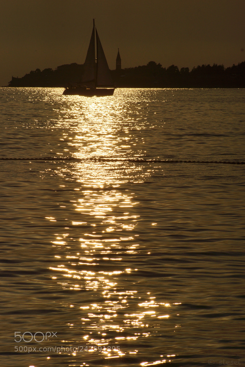 Sony SLT-A77 sample photo. Novigrad ship photography