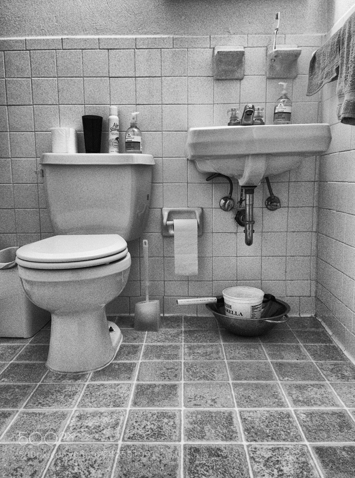 Apple iPhone 5s sample photo. The loo photography