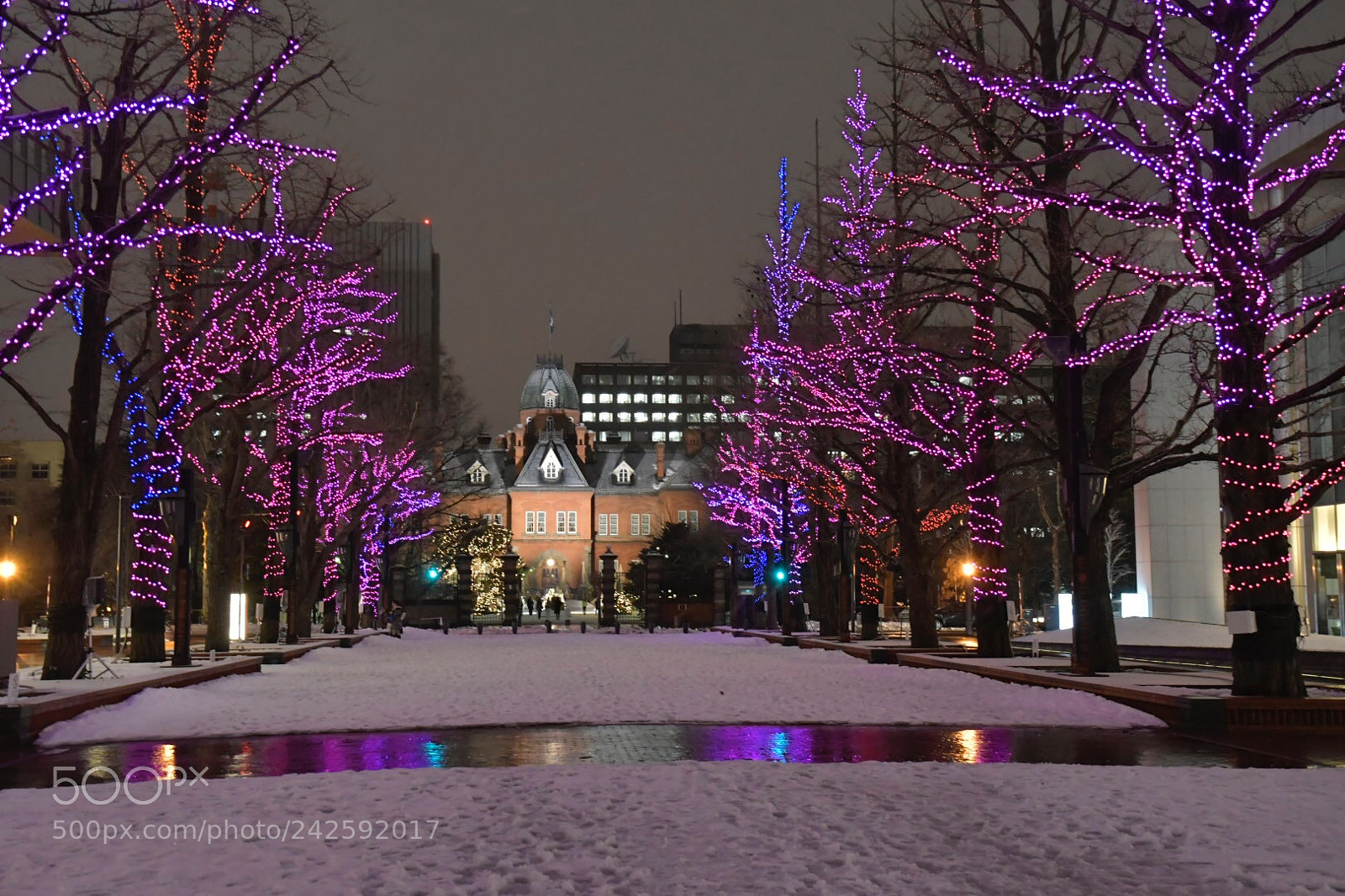Nikon D500 sample photo. Old hokkaido government building photography