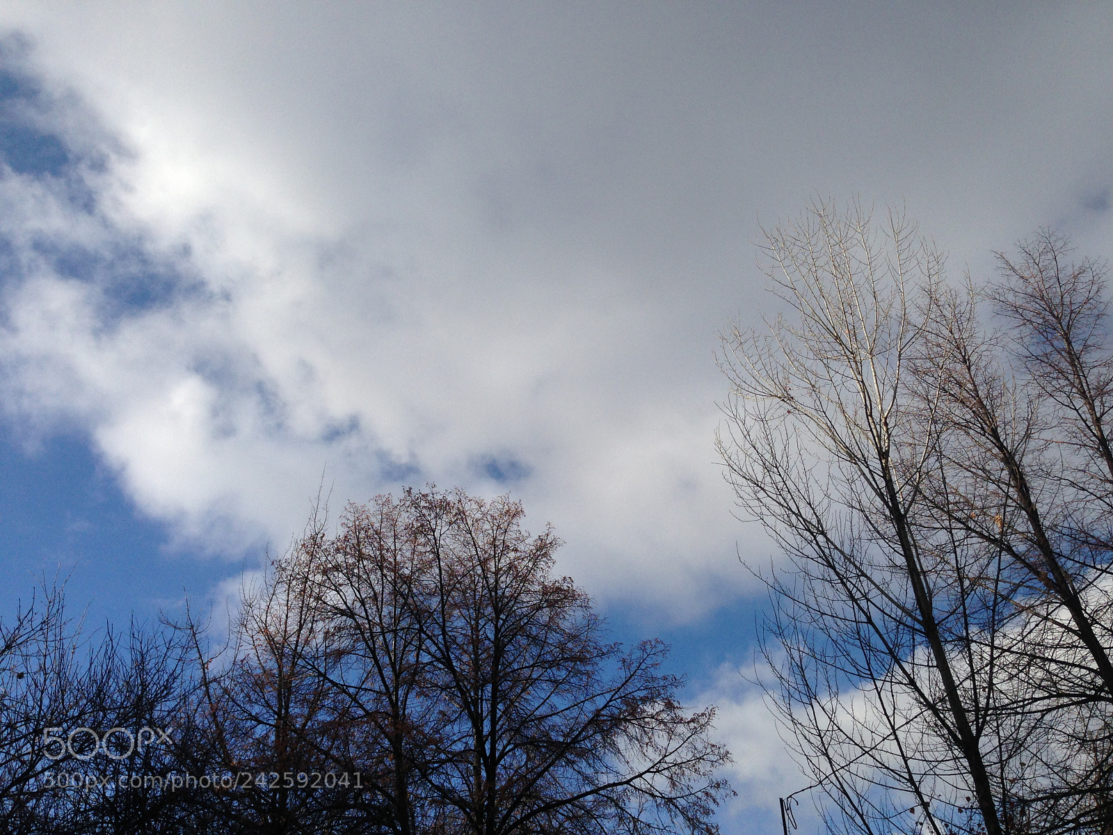 Apple iPhone 5 sample photo. Untitled photography