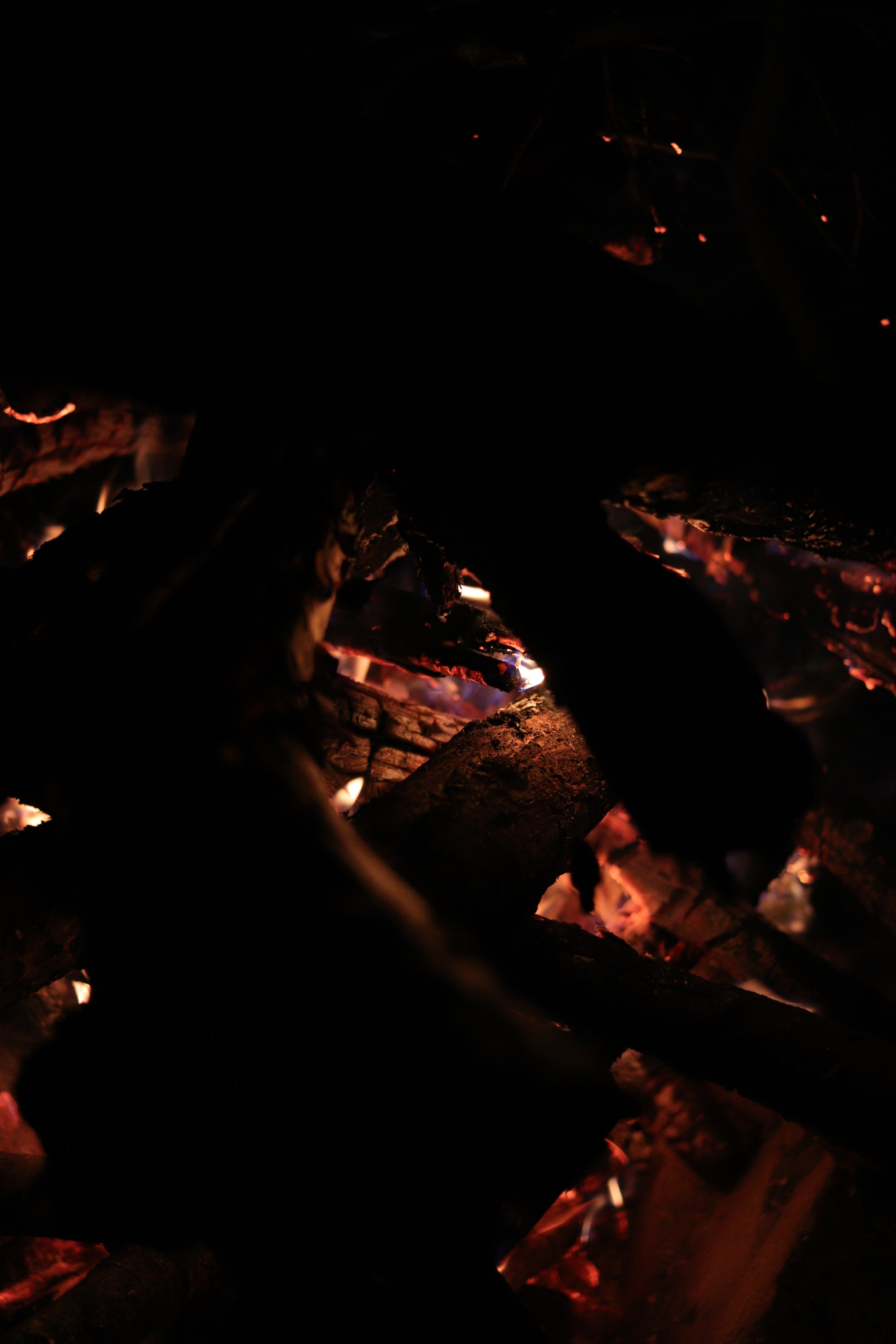 Canon EF-S 24mm F2.8 STM sample photo