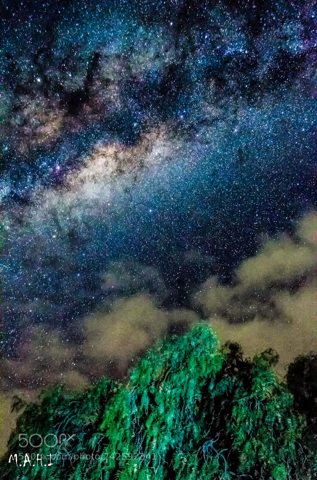 Nikon D5100 sample photo. Arbol, nubes y via photography