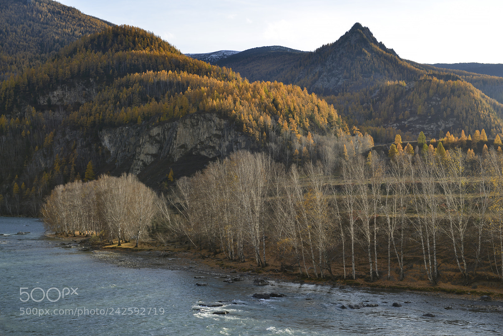 Nikon D800E sample photo. Altai mountians photography