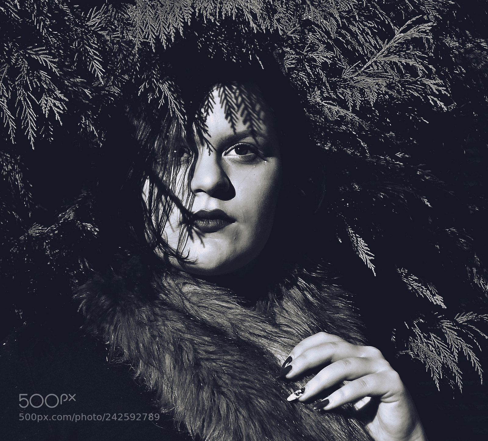 Nikon Coolpix L810 sample photo. Glamour & grace photography