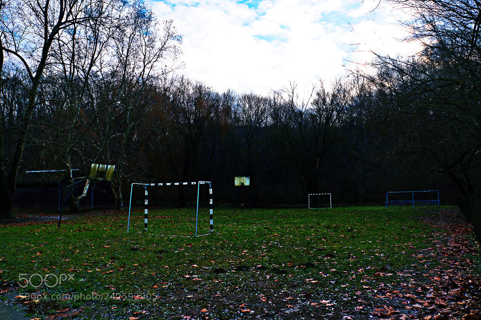 Sony Alpha a3000 sample photo. Untitled photography
