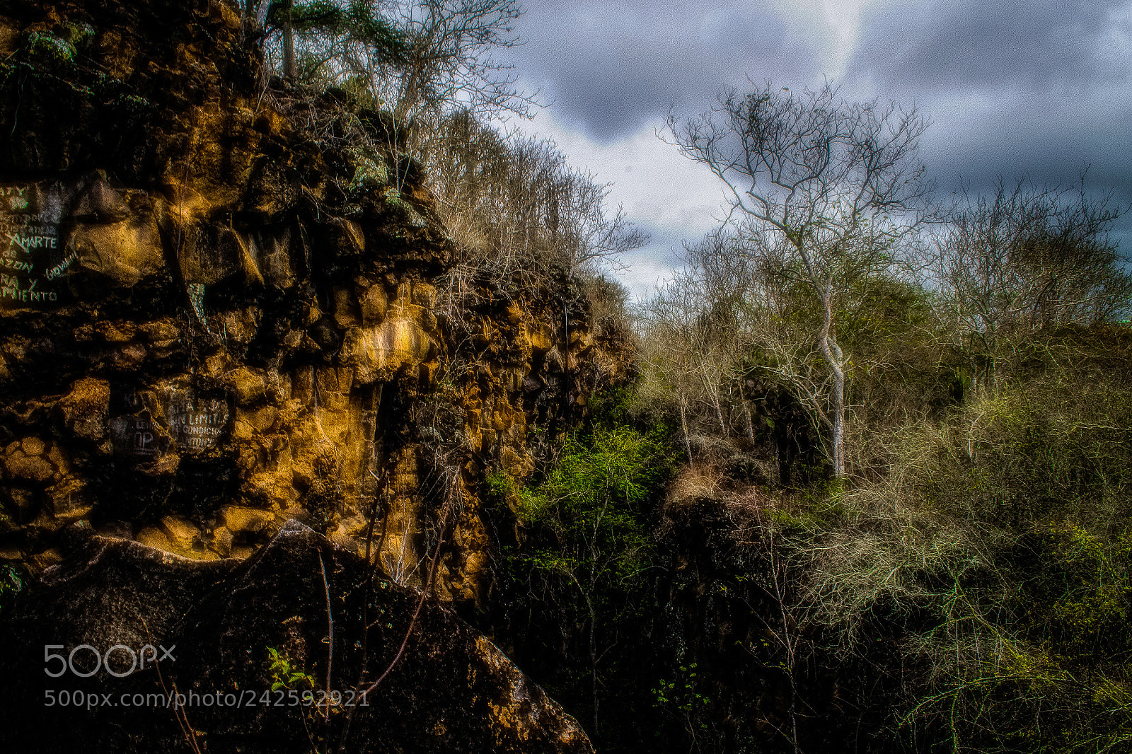 Nikon D3100 sample photo. Rocky photography