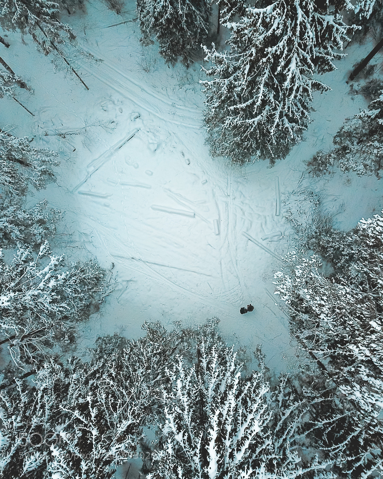 DJI FC220 sample photo. Somewhere in the forest photography
