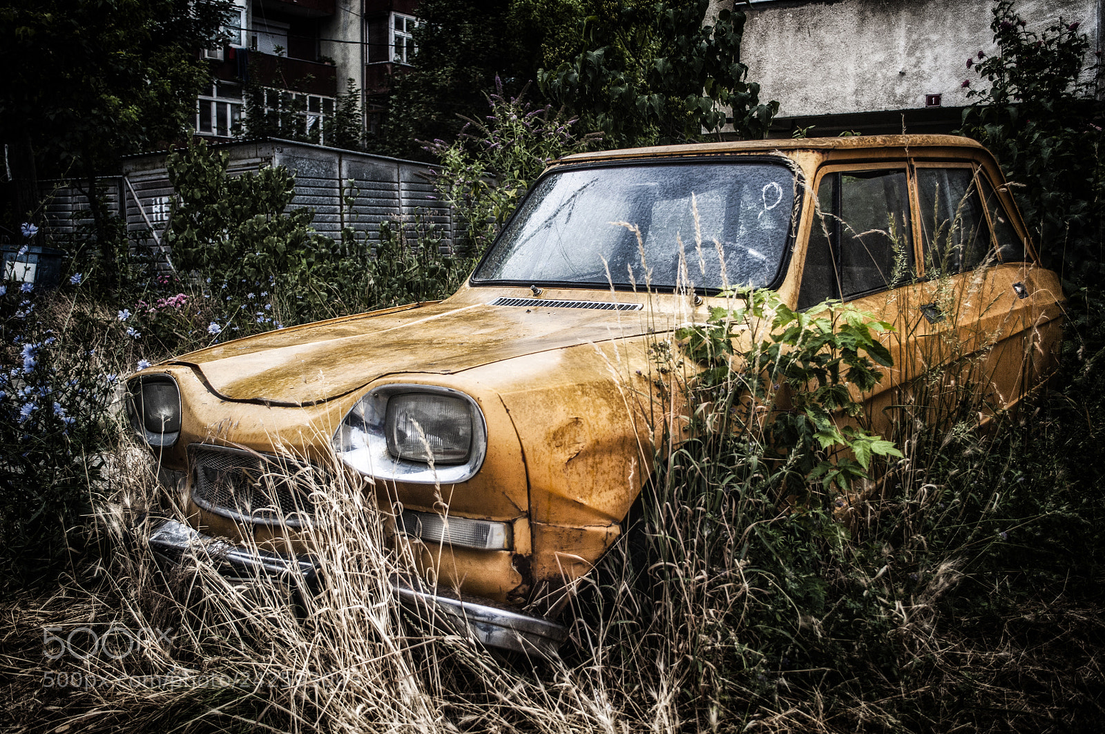Nikon D5000 sample photo. Car photography