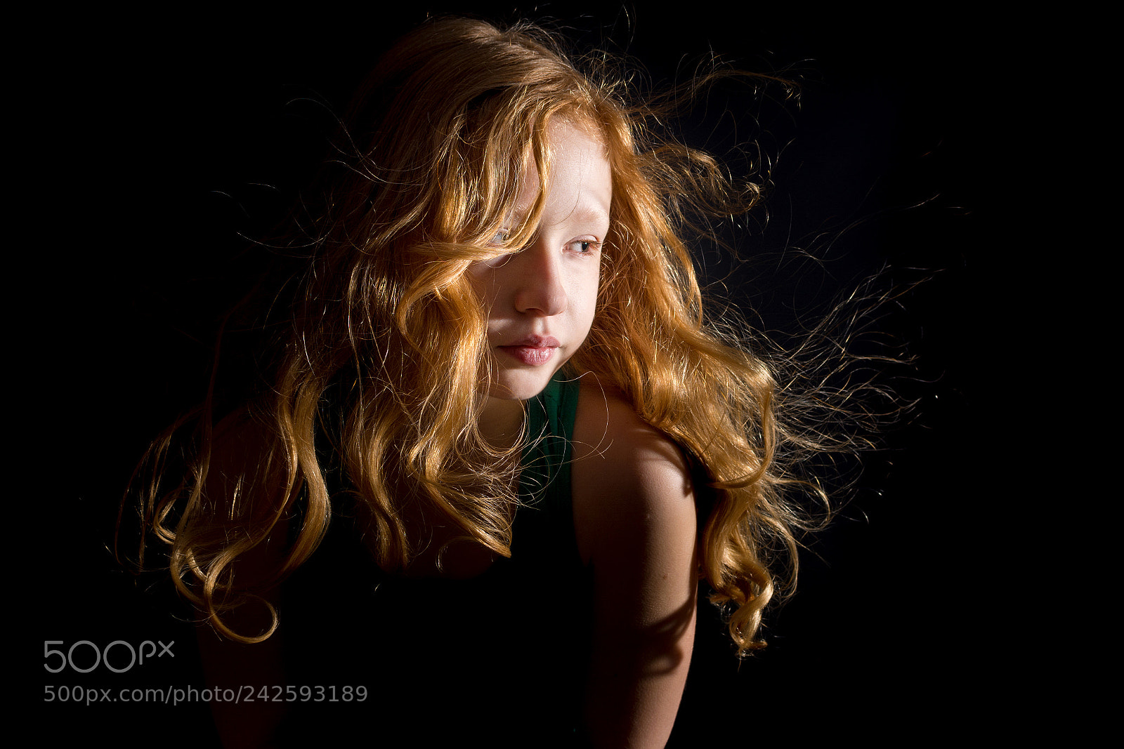 Nikon D7100 sample photo. Untitled photography