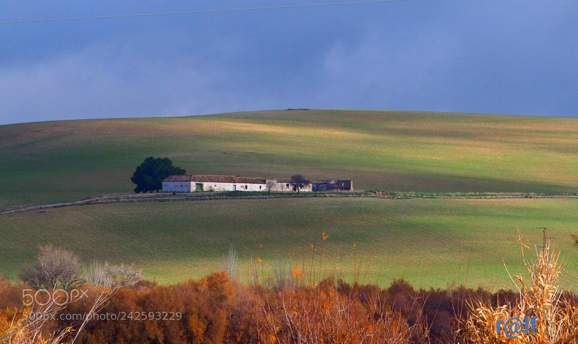 Olympus OM-D E-M10 II sample photo. Andalucia photography
