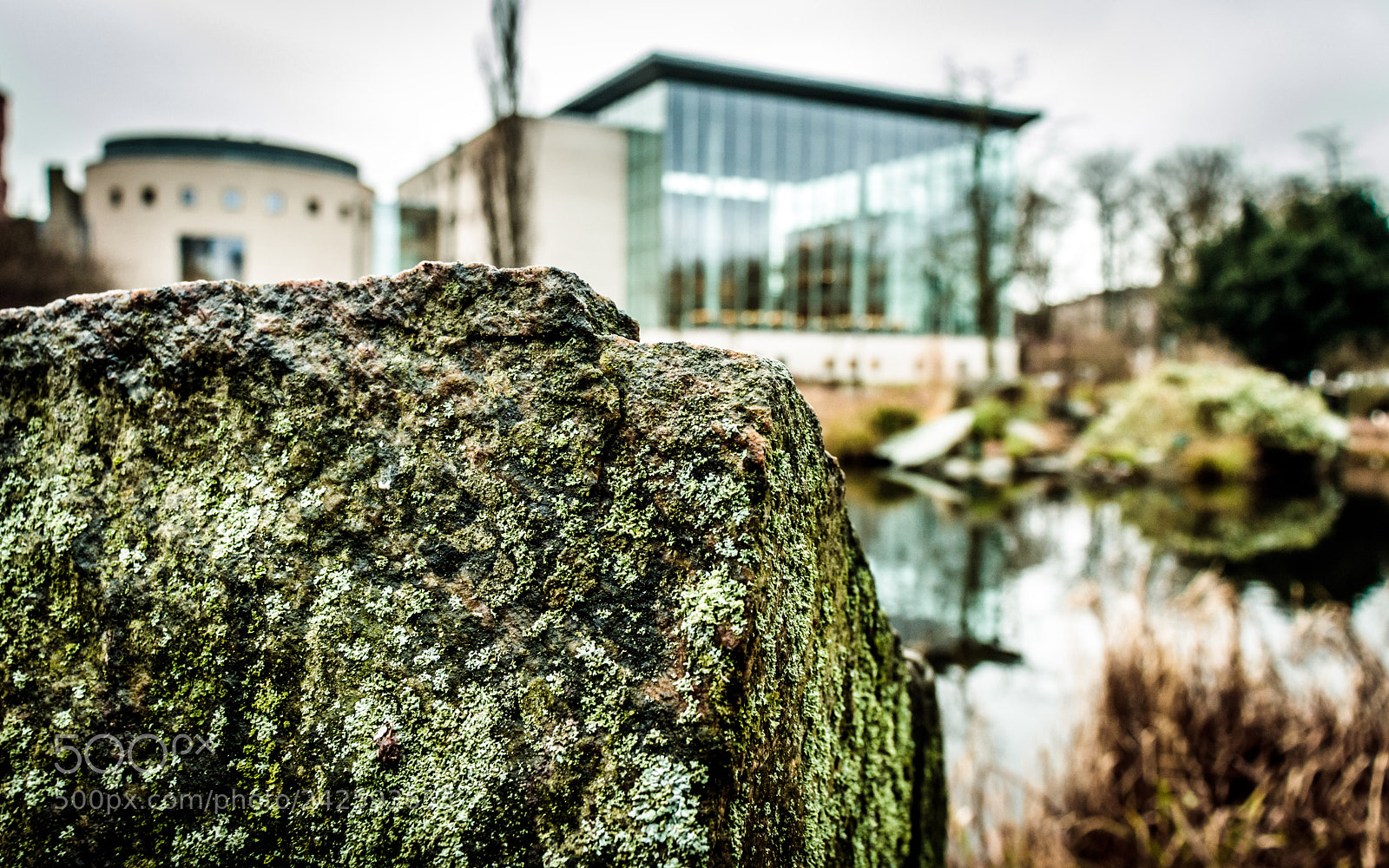 Canon EOS 77D (EOS 9000D / EOS 770D) sample photo. Malmø city library photography