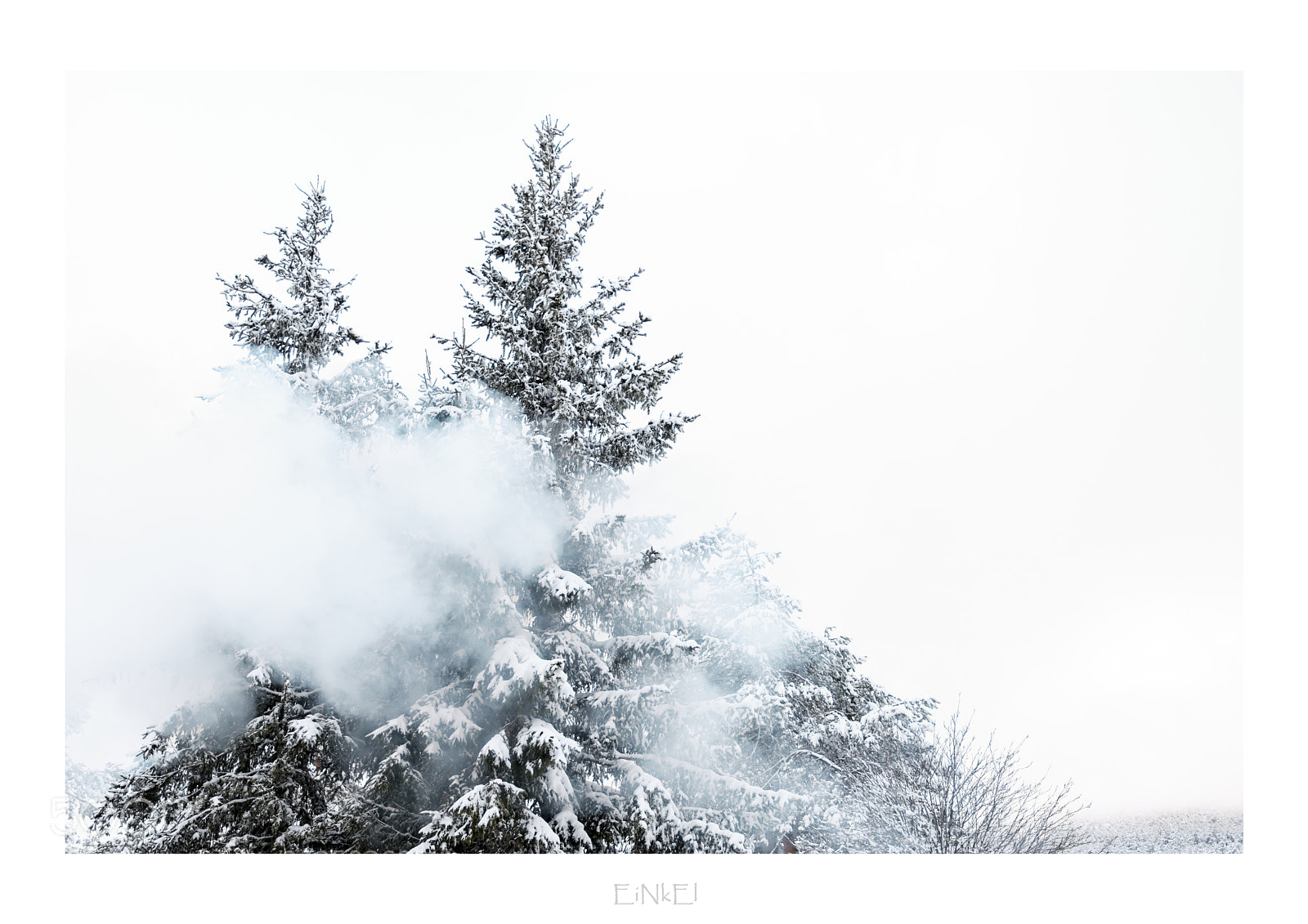 Fujifilm X-T2 sample photo. Abrazo invernal photography