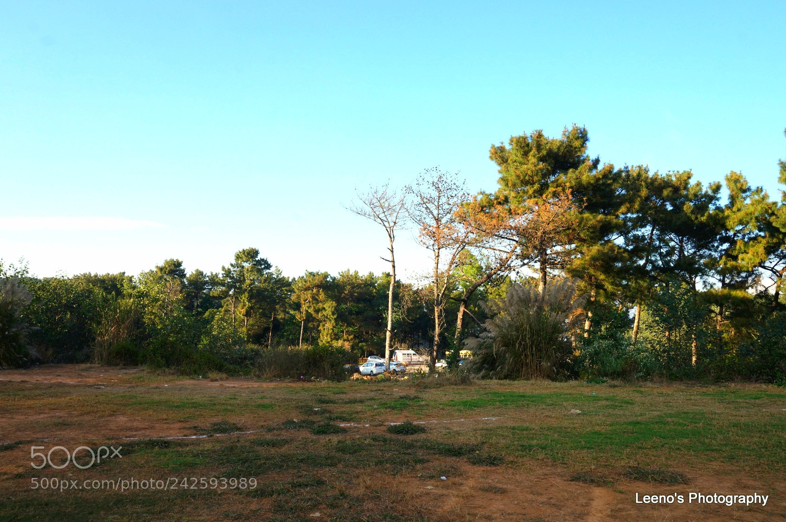 Sony Alpha a3500 sample photo. Before the sunset photography