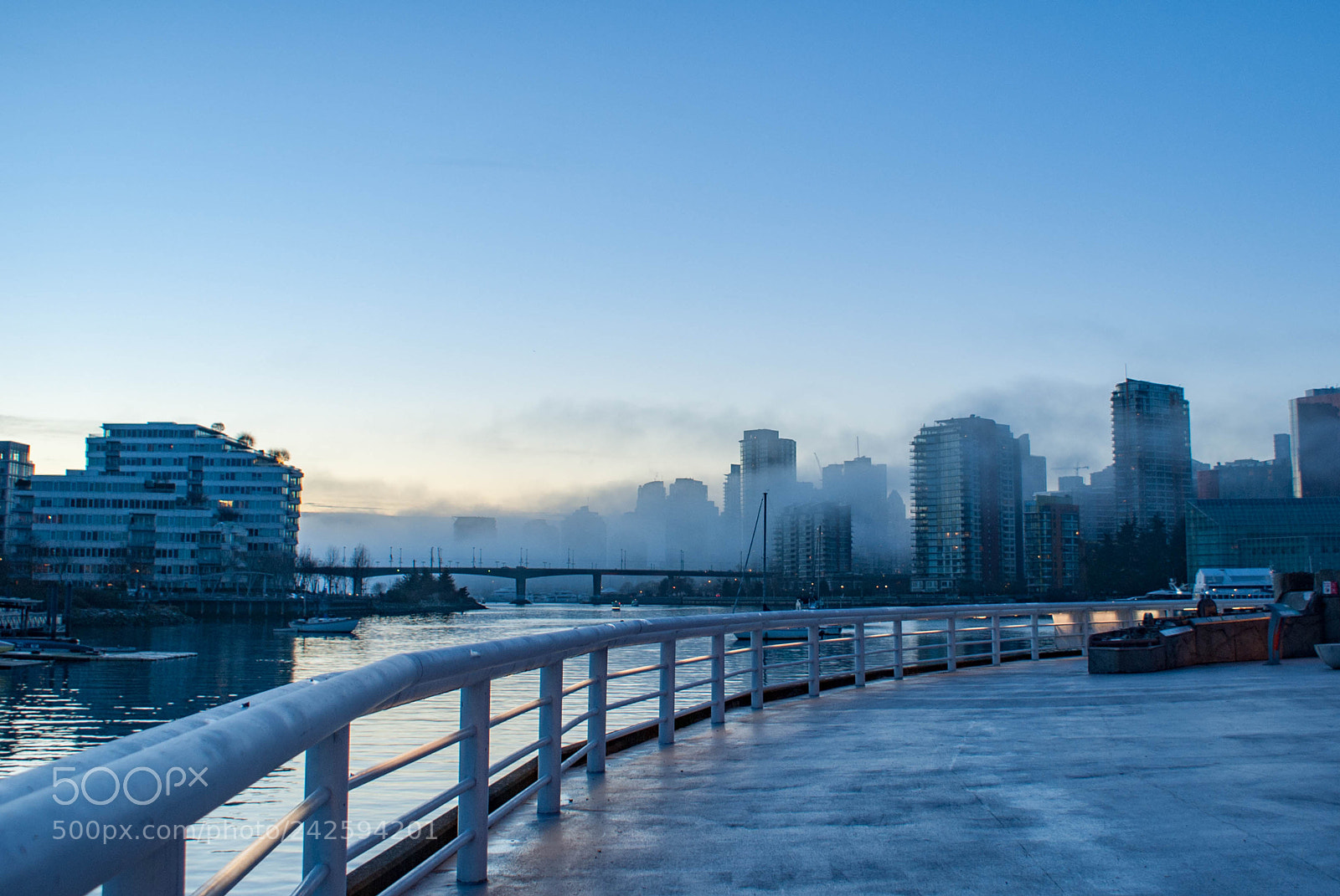 Sony Alpha DSLR-A200 sample photo. Misty morning 5 photography