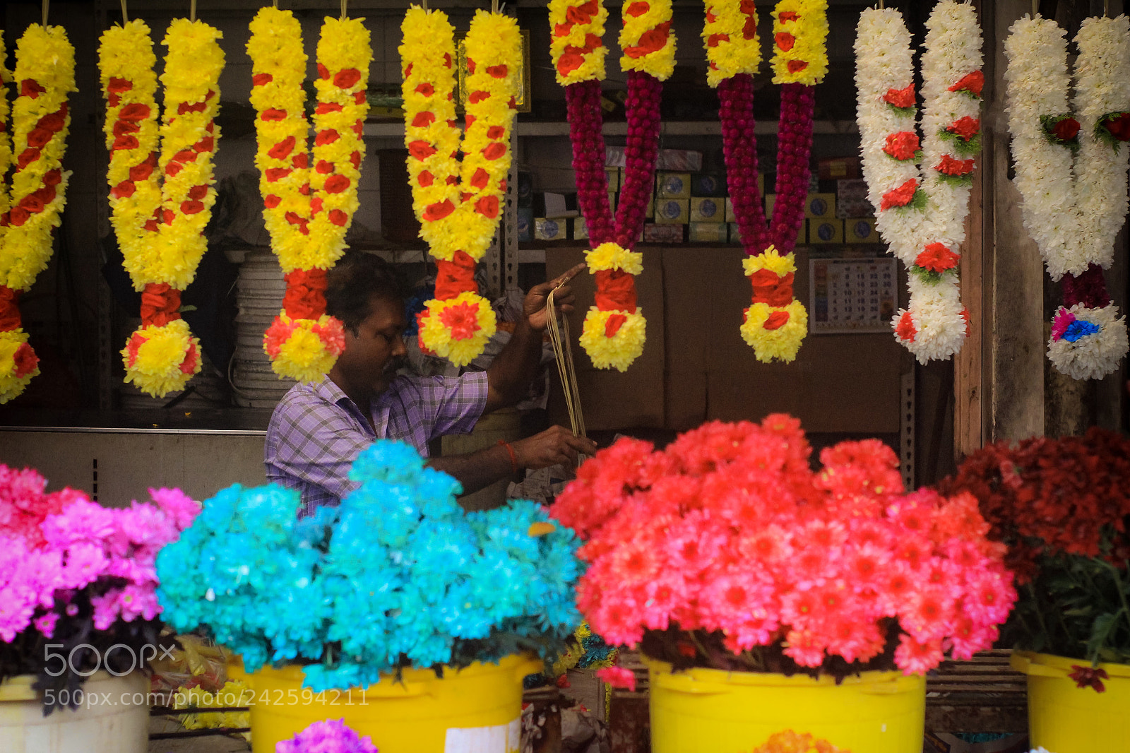 Canon EOS 1200D (EOS Rebel T5 / EOS Kiss X70 / EOS Hi) sample photo. Colourful photography