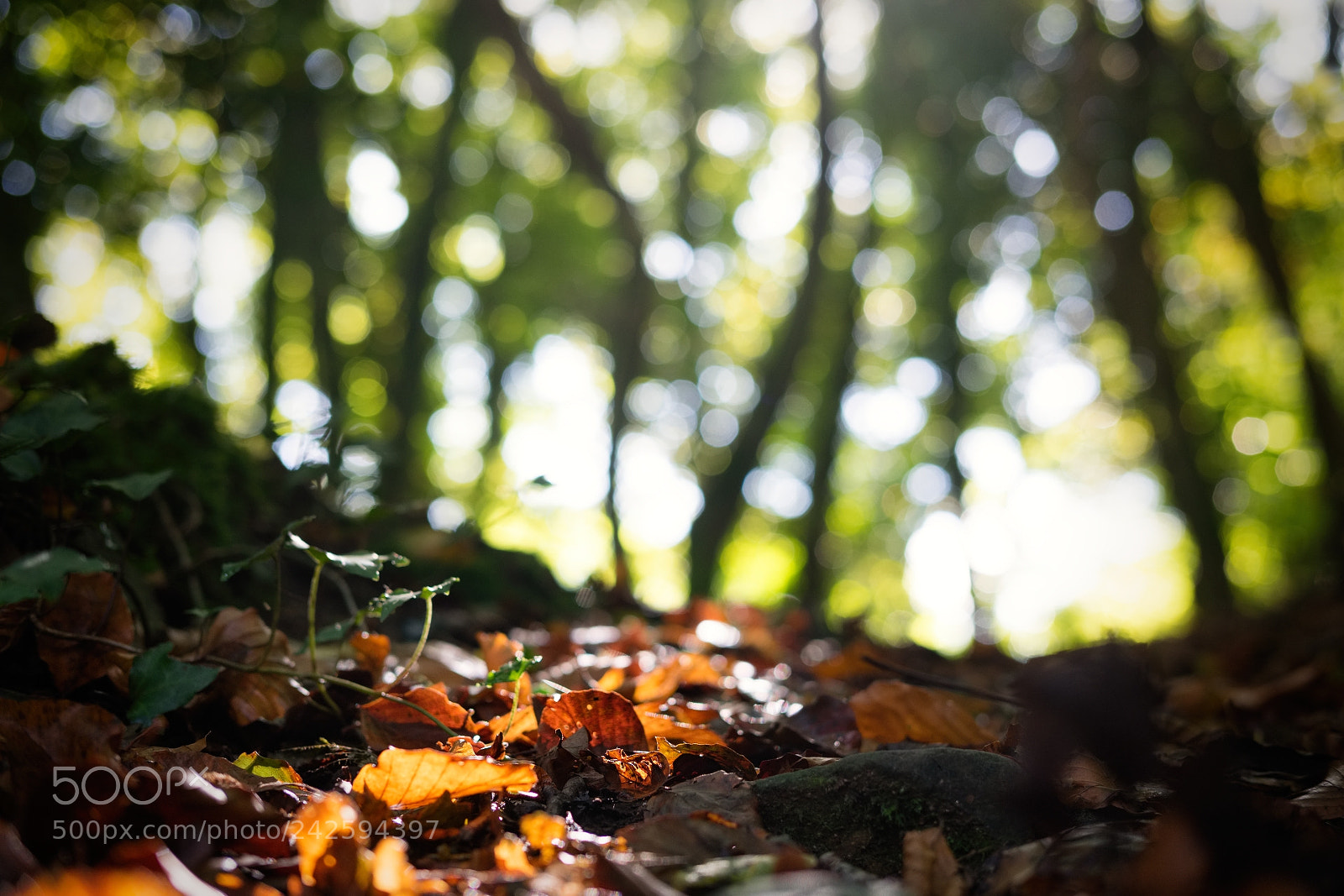 Fujifilm X-T1 sample photo. Nothing in particular on photography