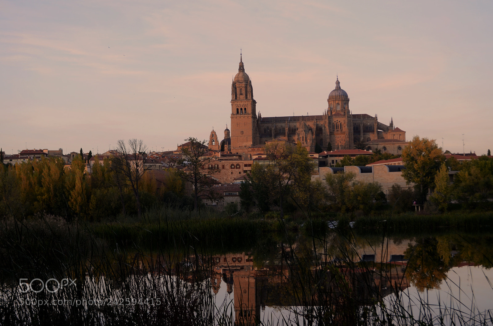 Nikon D5100 sample photo. Salamanca photography