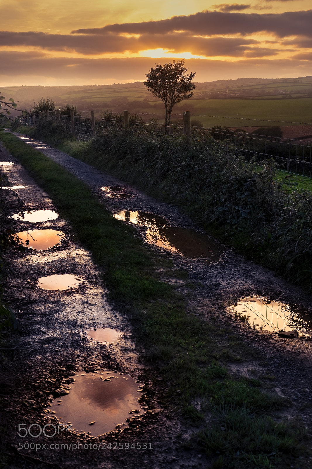 Fujifilm X-T1 sample photo. On my way to photography