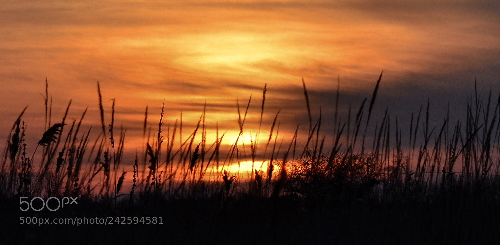 Nikon D3400 sample photo. Fire on the horizon photography