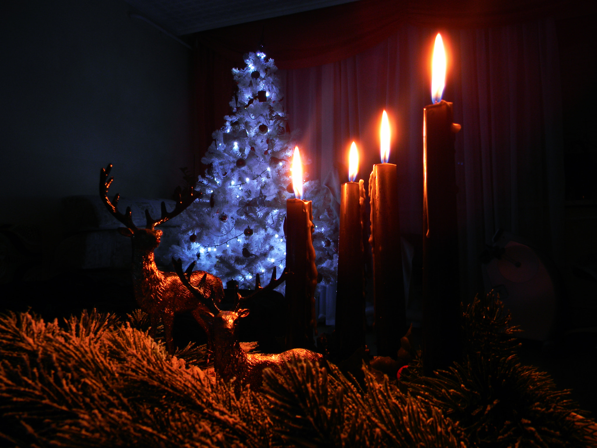 Nikon Coolpix L110 sample photo. Christmas part 3. photography