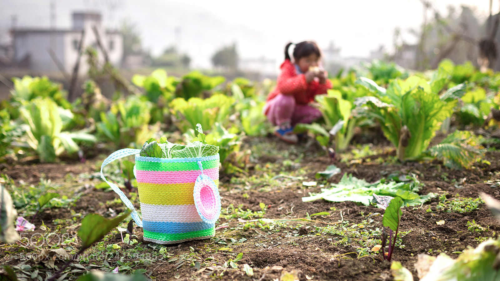 Canon EOS 5DS sample photo. Ha photography