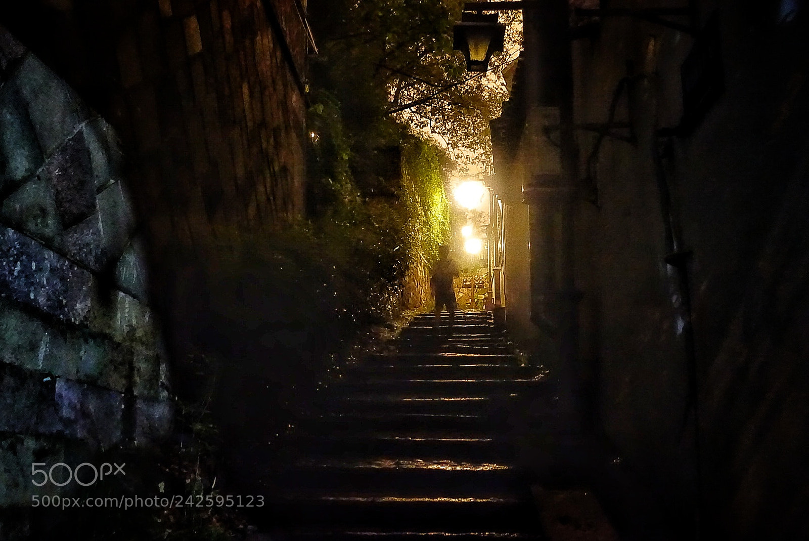 Sony Cyber-shot DSC-RX100 III sample photo. Light source direction photography