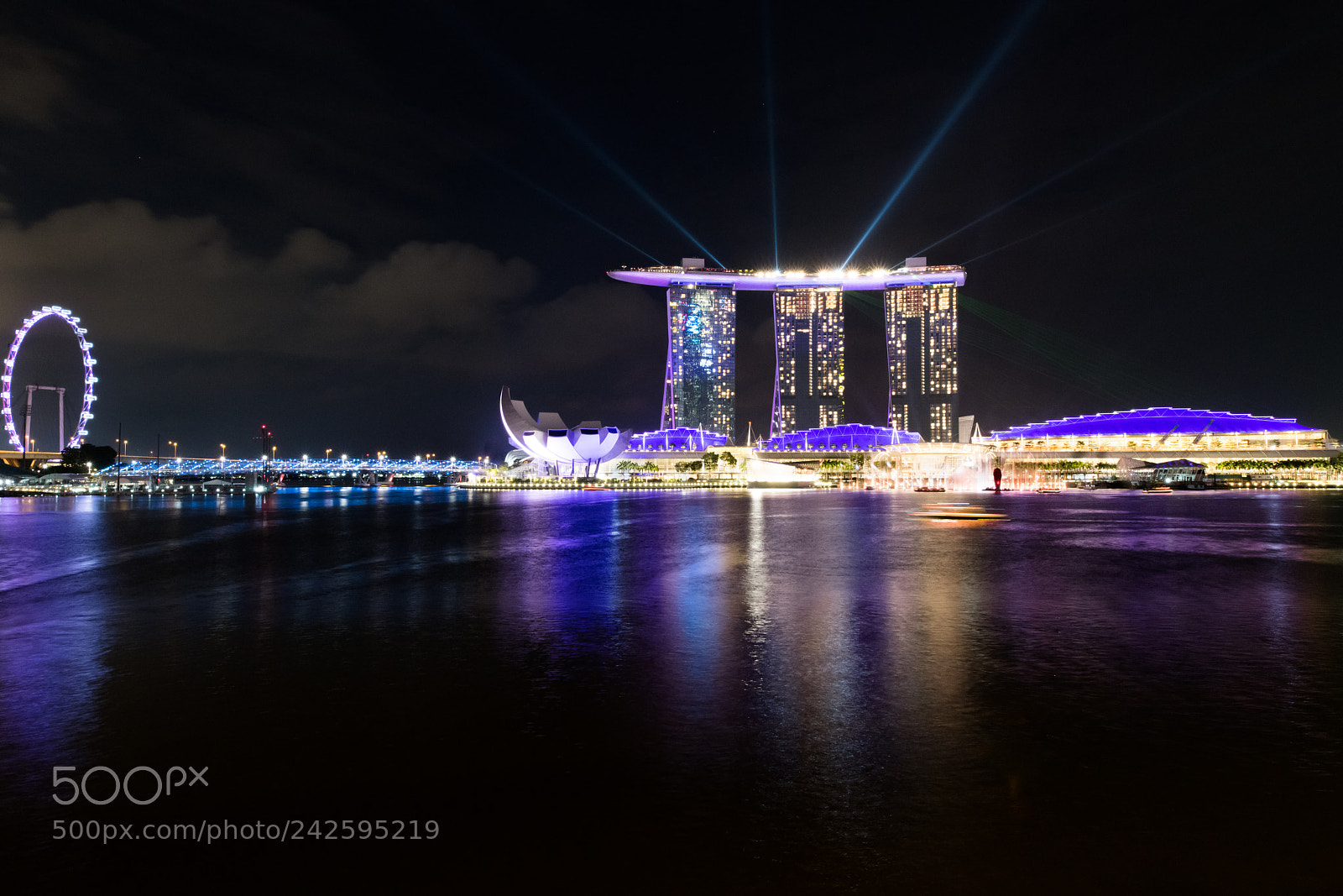 Nikon D850 sample photo. The light show photography
