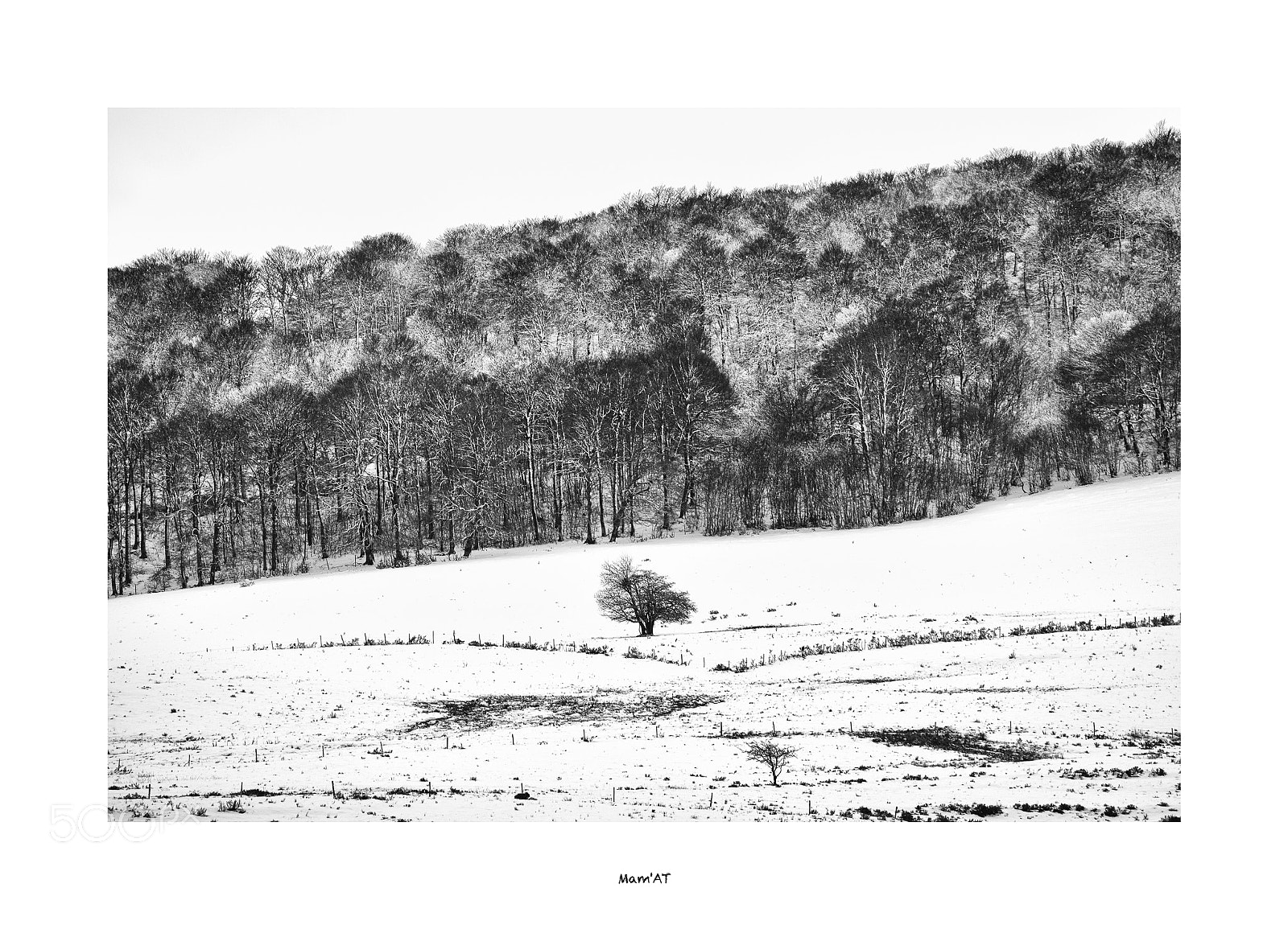 Canon EOS 6D Mark II sample photo. In front of photography