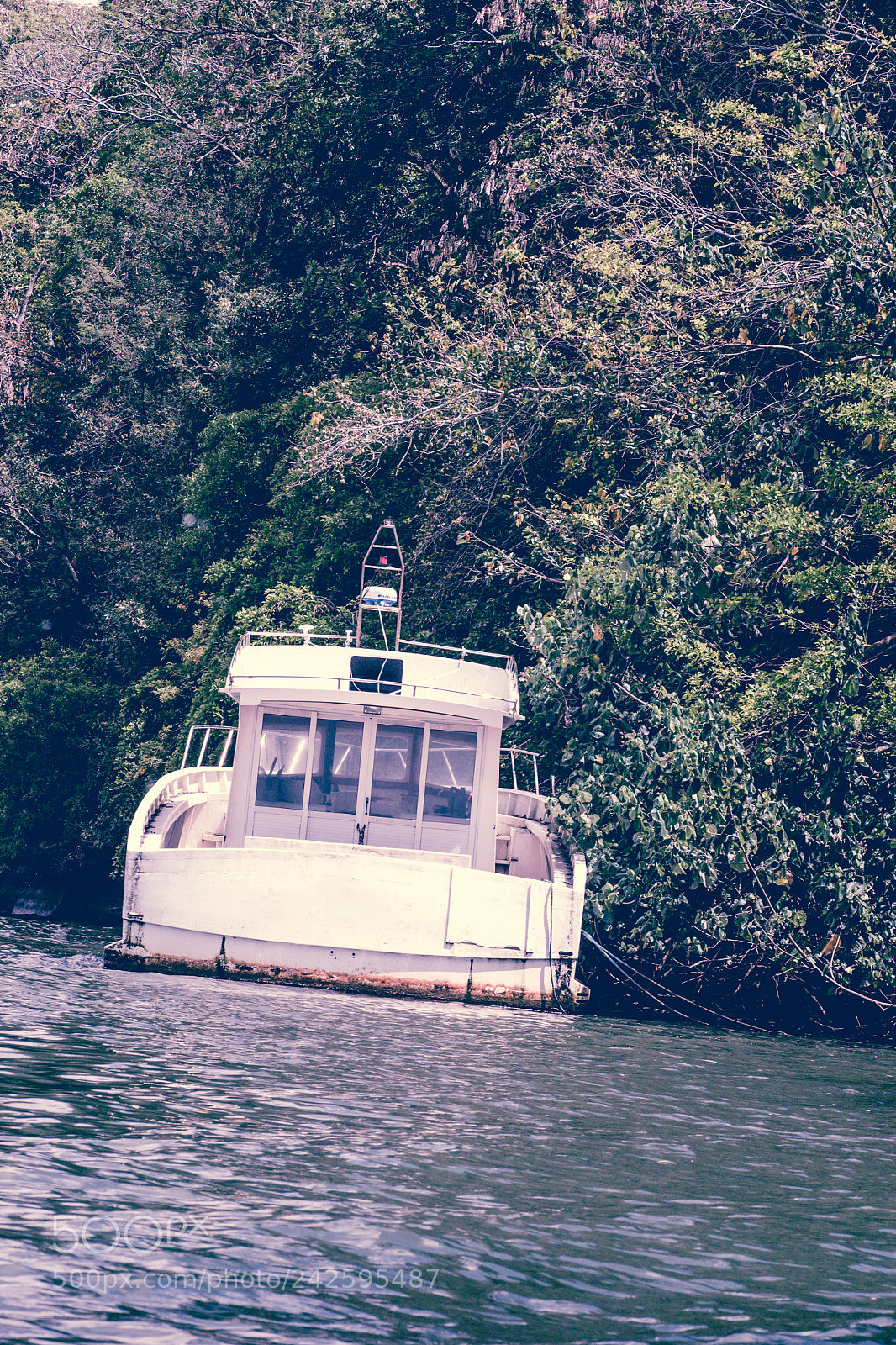 Nikon D3100 sample photo. Abandoned boat photography