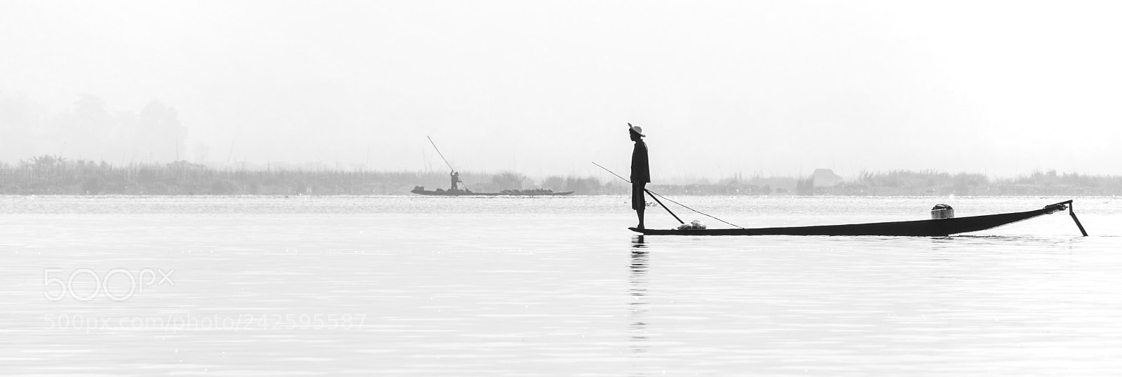 Nikon D800E sample photo. Silence photography