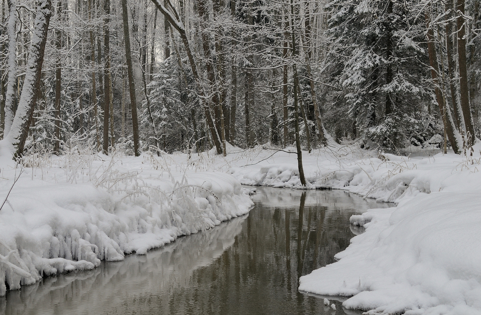 Nikon D300 + Nikon AF-S DX Nikkor 18-55mm F3.5-5.6G VR sample photo. Winter forest river. photography