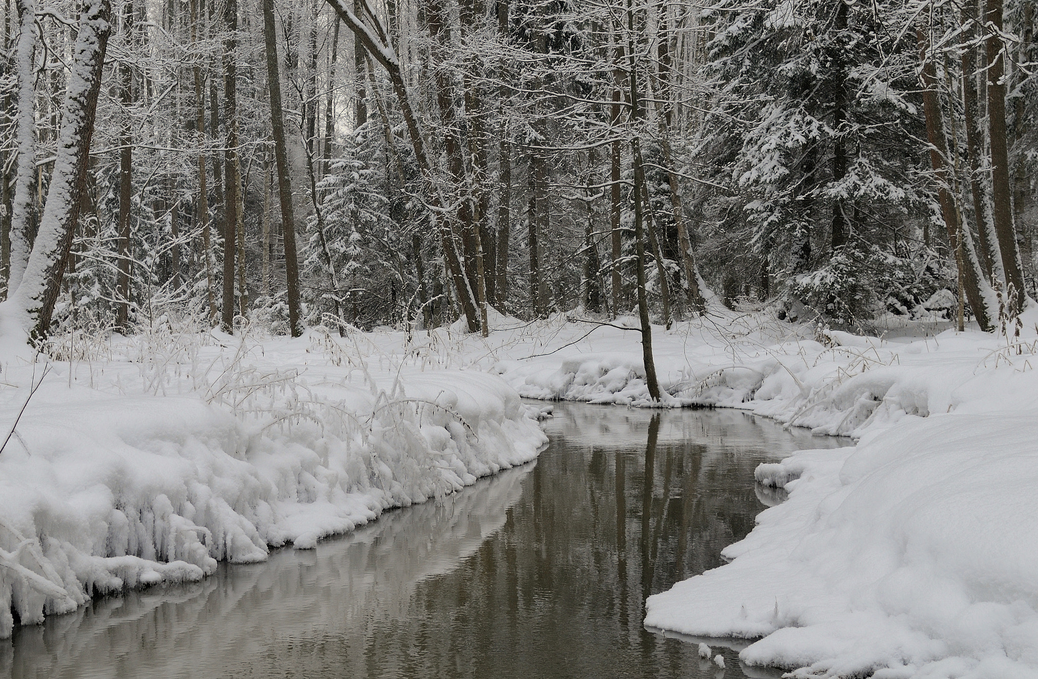 Nikon D300 sample photo. Winter forest river. photography