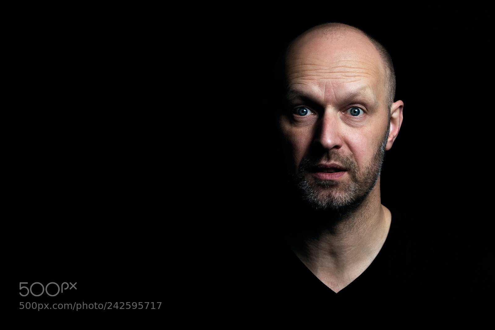 Nikon D500 sample photo. Portrait - stefan photography