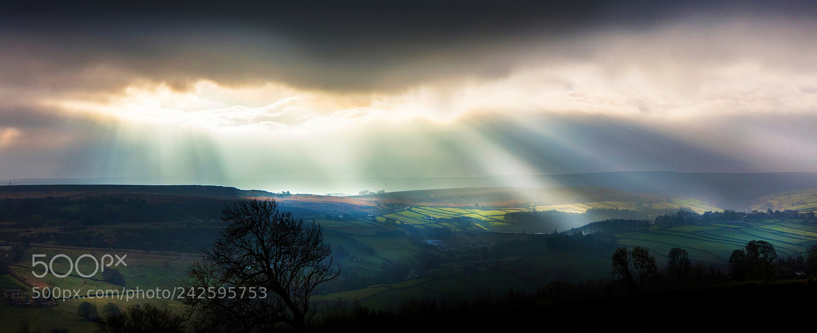 Canon EOS 5DS sample photo. Yorkshire sky show photography
