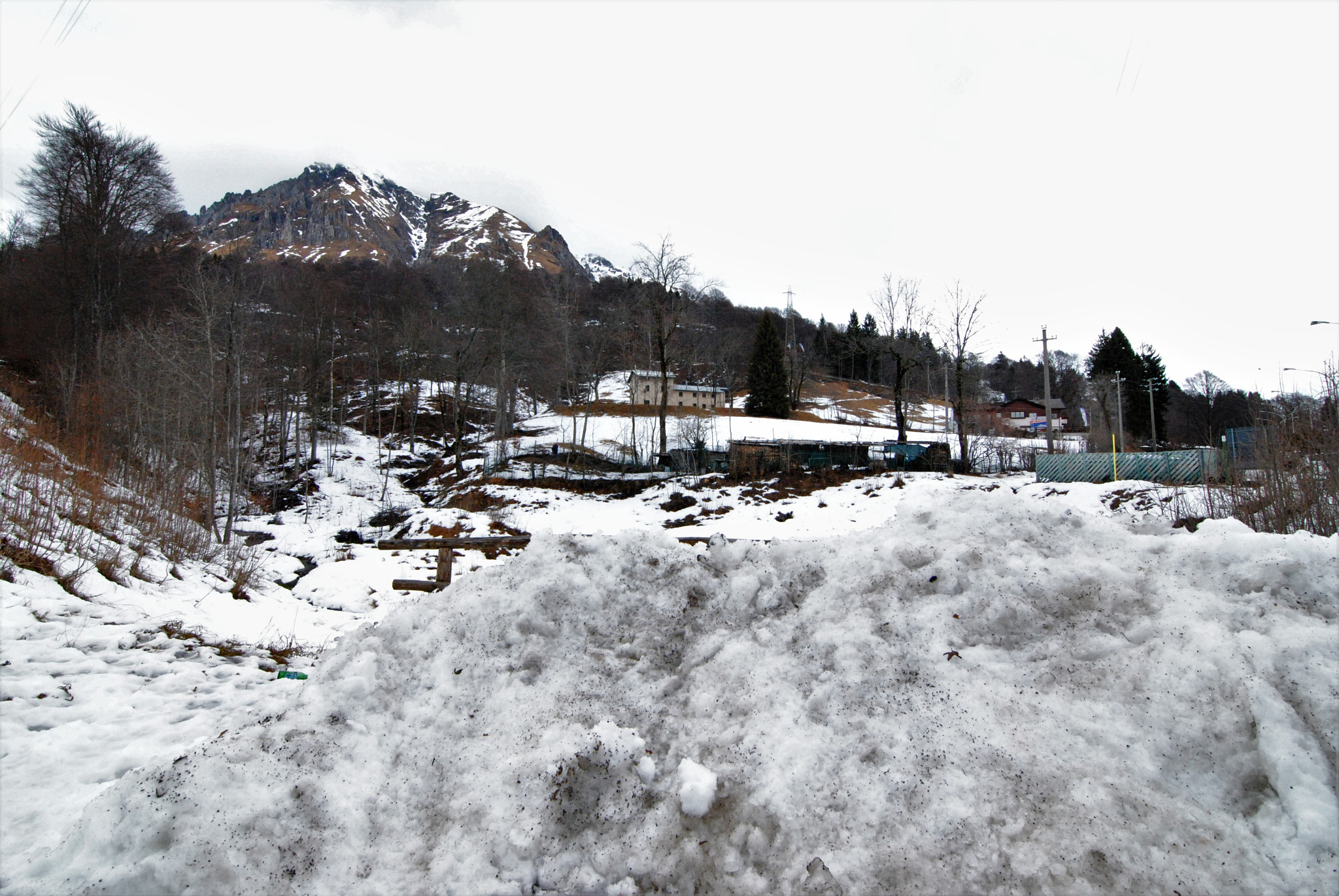 Nikon D3000 sample photo. Winter taste photography