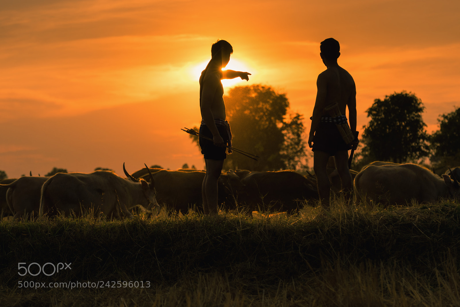 Nikon D810 sample photo. Rancher thai photography