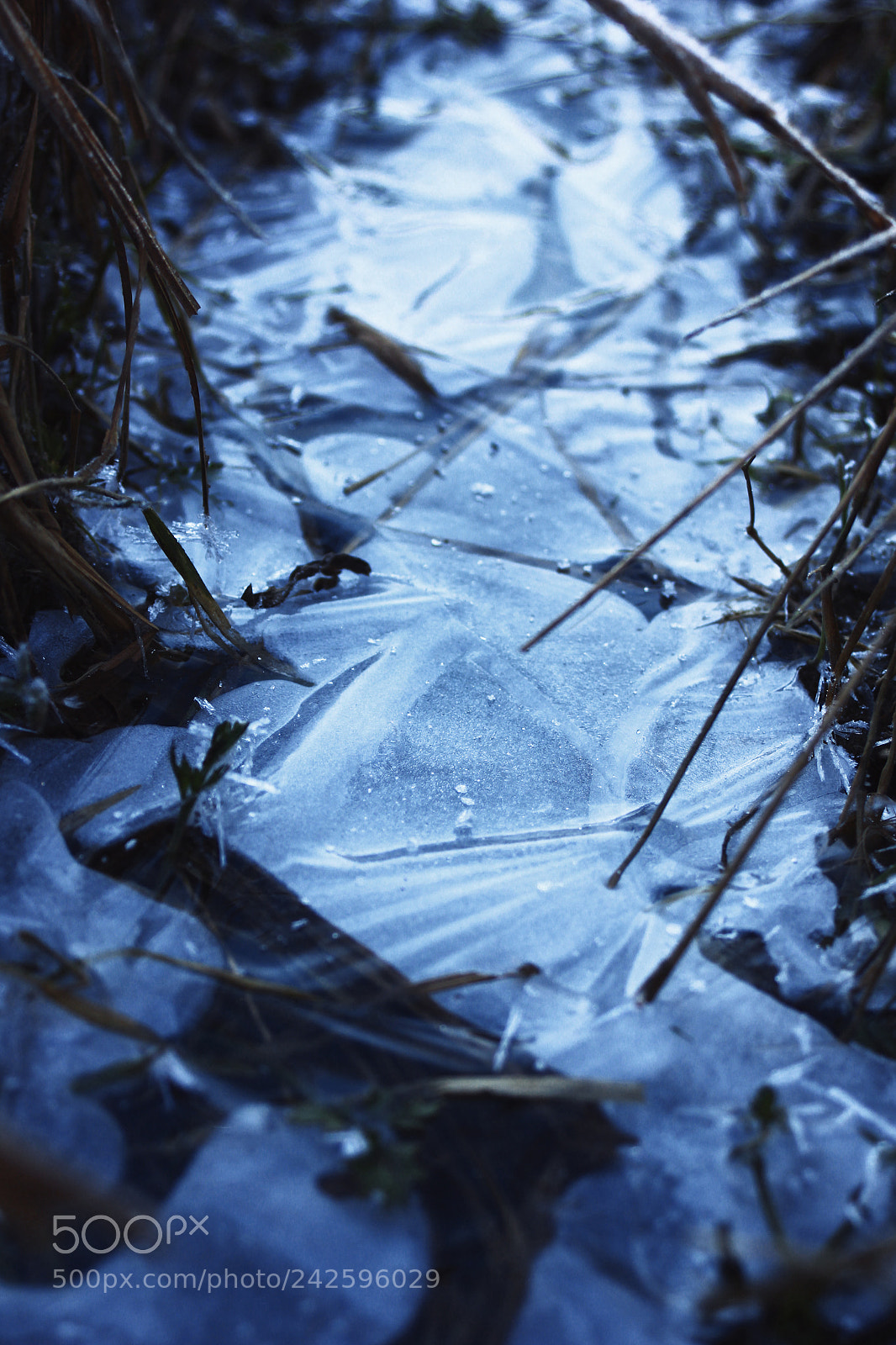Canon EOS 550D (EOS Rebel T2i / EOS Kiss X4) sample photo. Ice photography