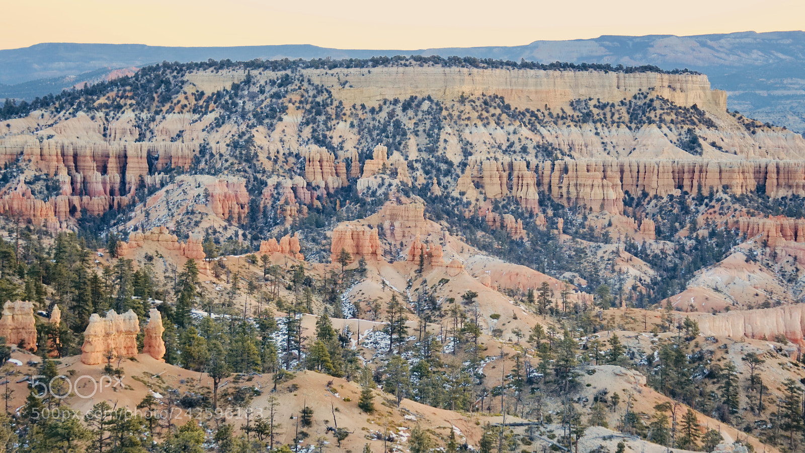Sony a6300 sample photo. Untitled photography