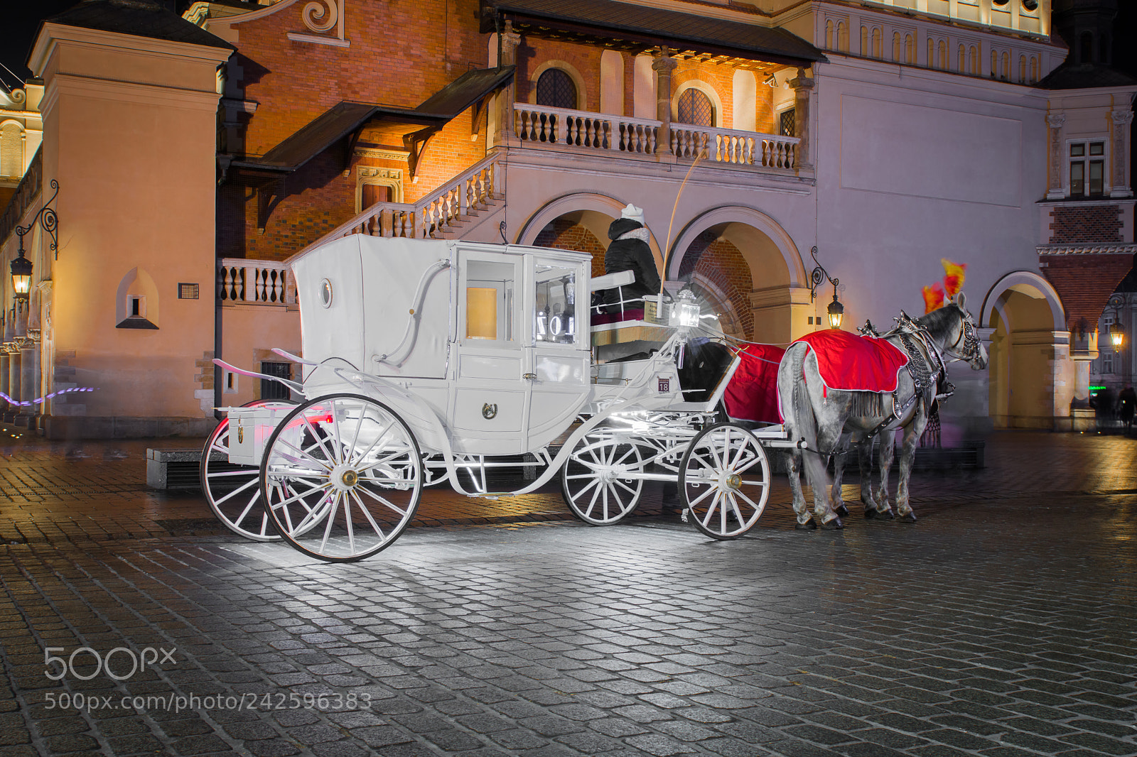 Nikon D7200 sample photo. In anticipation of cinderella photography