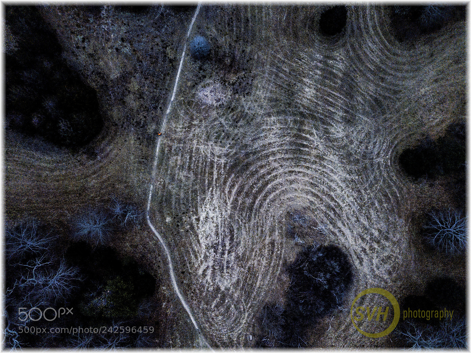 DJI FC220 sample photo. Selfie photography