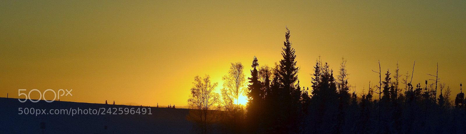 Nikon D5100 sample photo. In search of evening photography